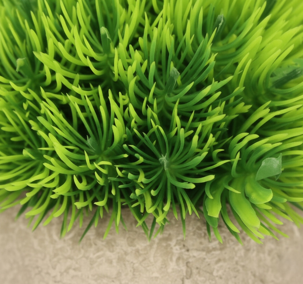 d62c825e48ff99ad6b32ab2043f341fd