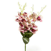 Storczyk Sztuczny Bukiet Biało-Bordowy Cętkowany 59cm Orchidea 5 Gałązek