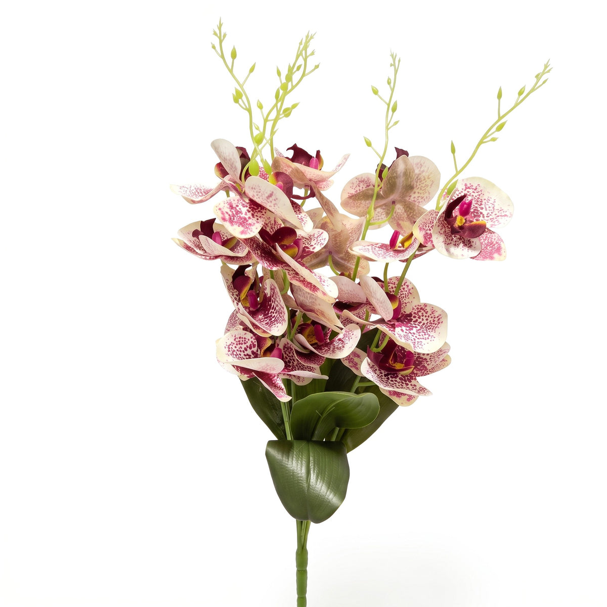 Storczyk Sztuczny Bukiet Biało-Bordowy Cętkowany 59cm Orchidea 5 Gałązek