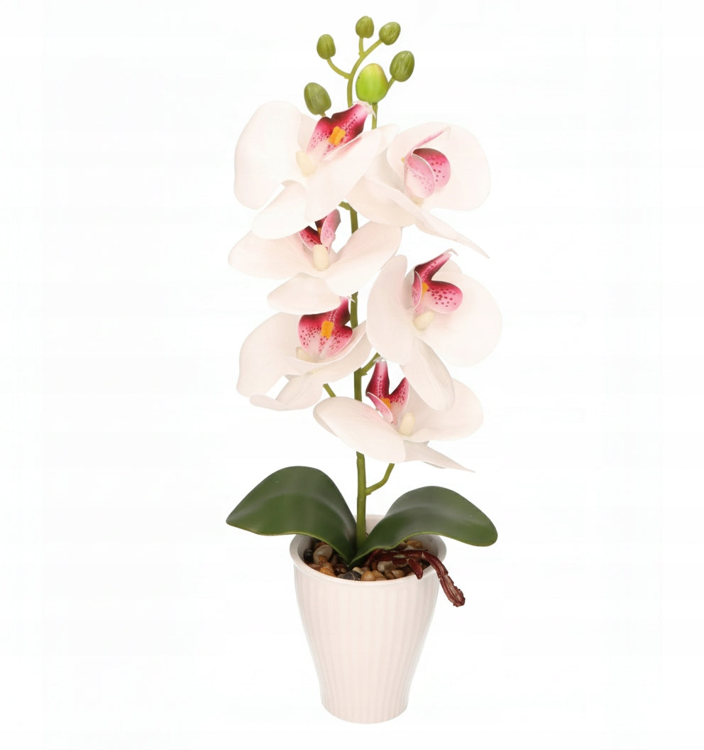 4199660d6c562832e8fe2a29c9b4a2c9