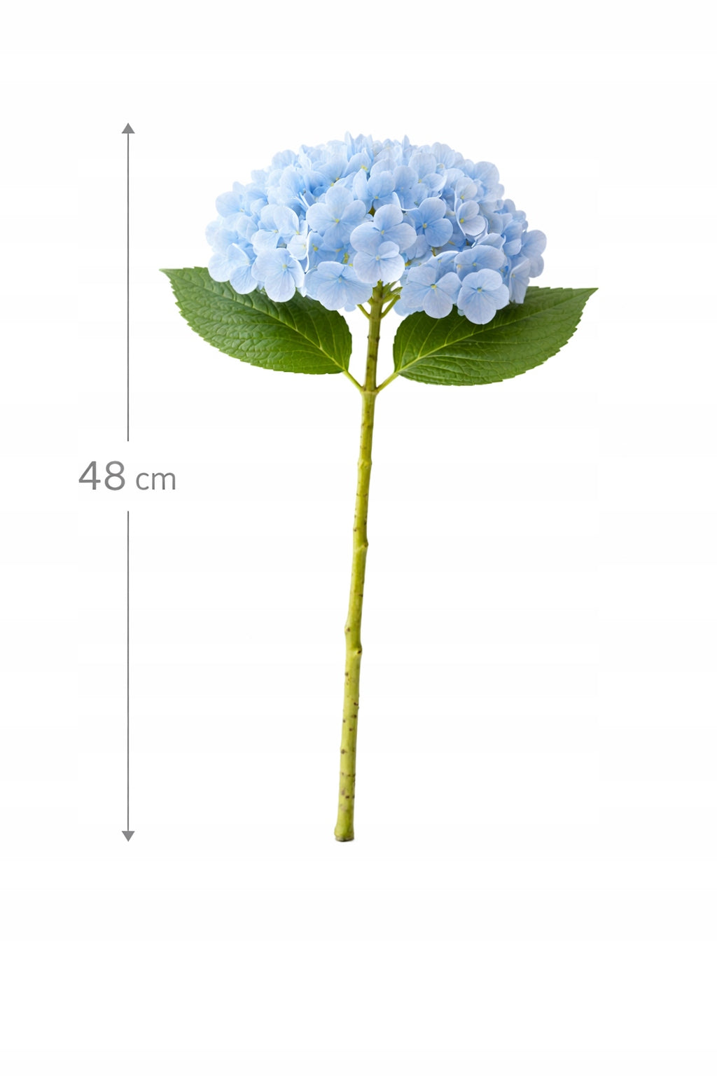 KWIAT SZTUCZNY HORTENSJA 48 CM DUŻY JASNY ZIELONY KWIAT REALISTYCZNY WYGLĄD
