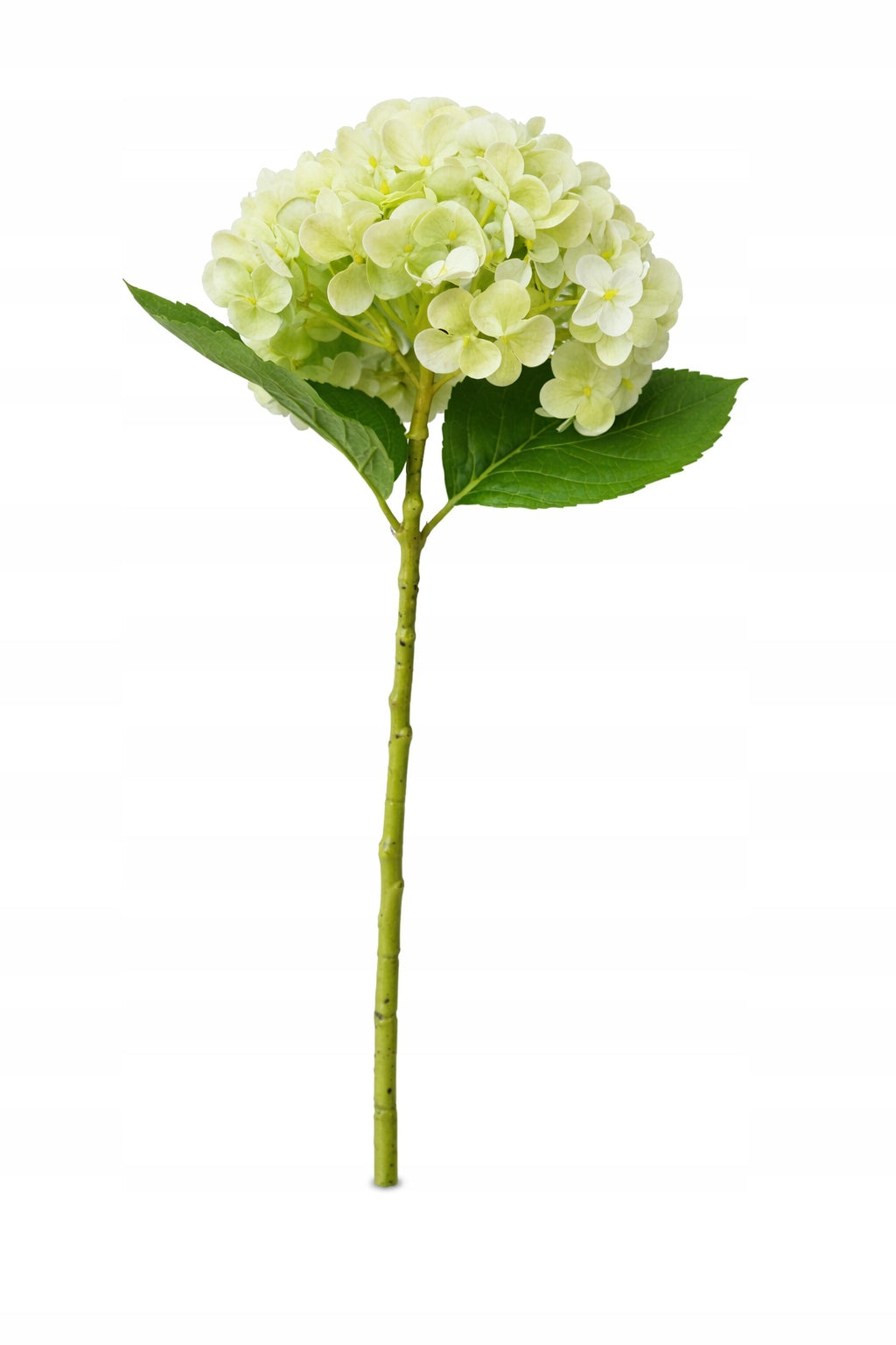 KWIAT SZTUCZNY HORTENSJA 48 CM DUŻY JASNY ZIELONY KWIAT REALISTYCZNY WYGLĄD