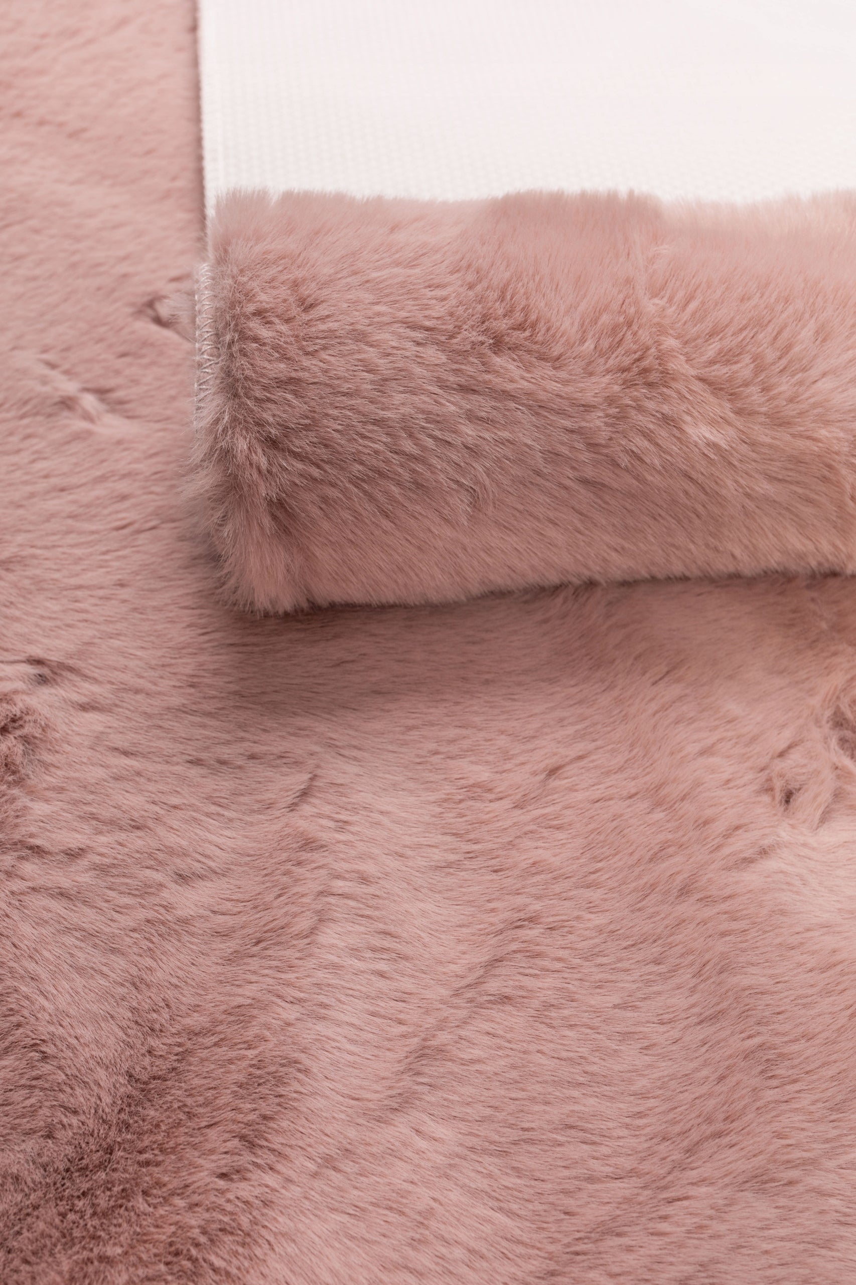 02d54bf2ab8b547f6ea5ee8583873c86