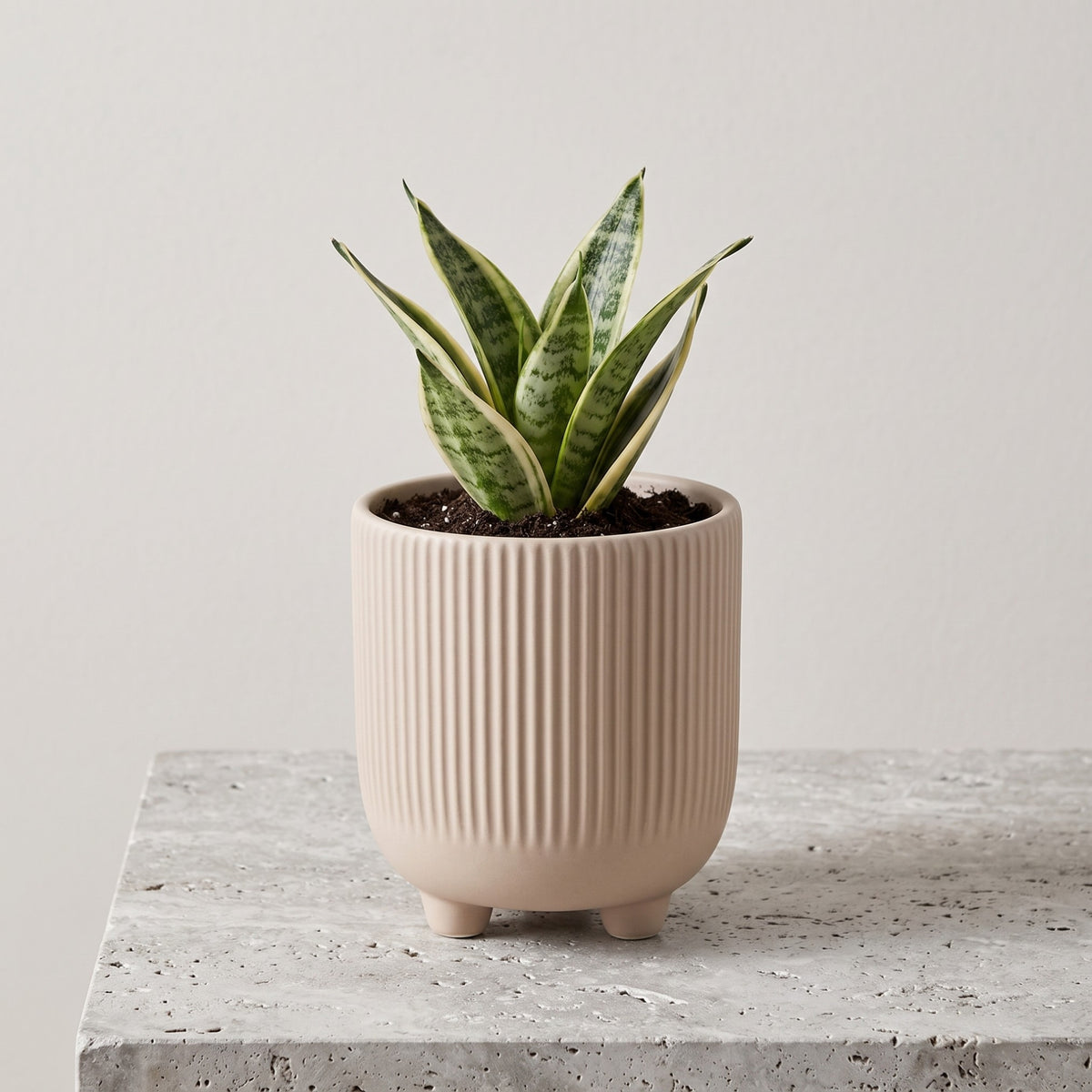 Doniczka Osłonka Kolor Szara 15cm Ceramiczna na Trzech Nóżkach Designerska Donica