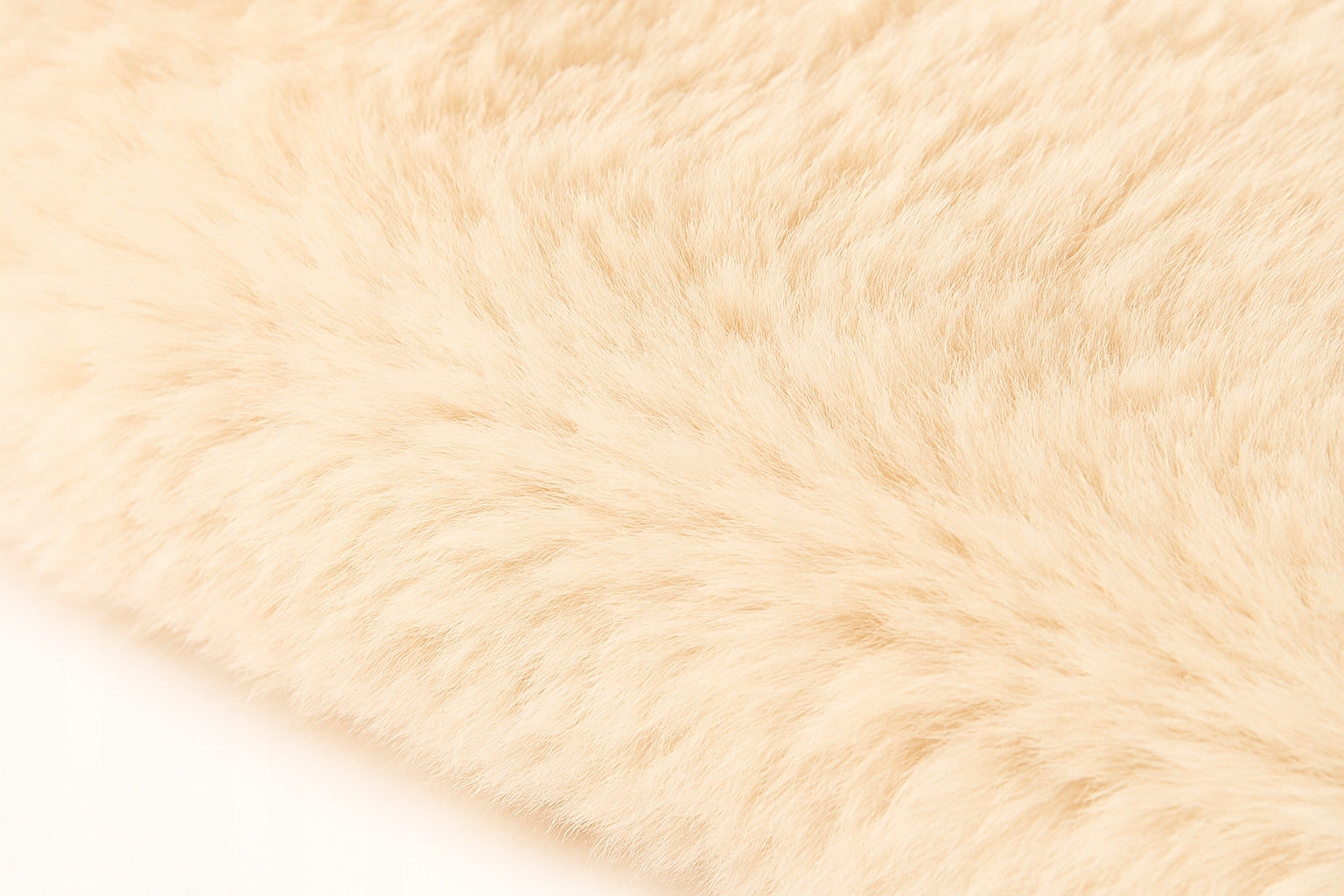 1a5b6186669c11fa1f30652a605b8dfe