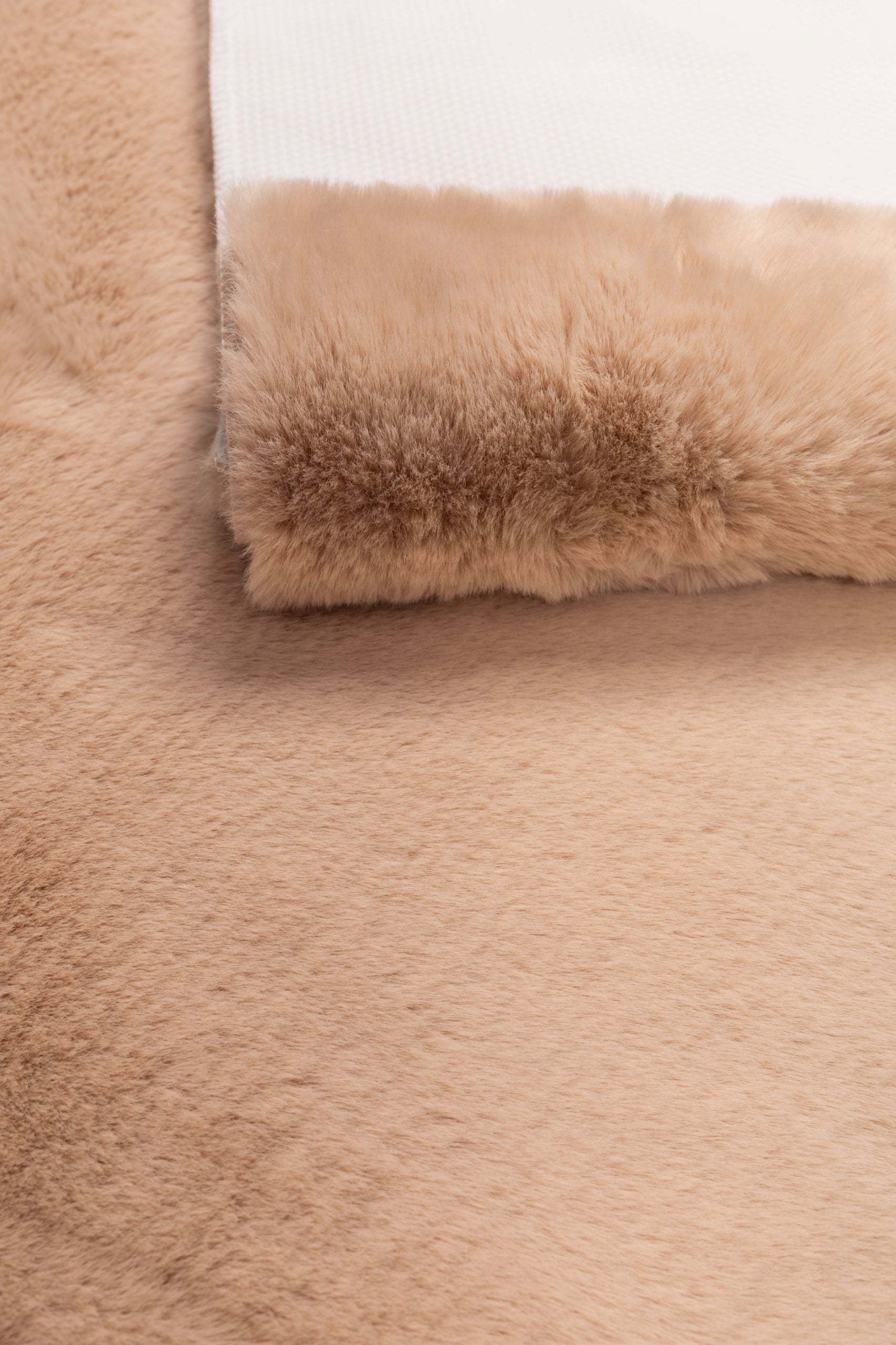 9ca6489a1040db9da0de9dfc2986ddd9