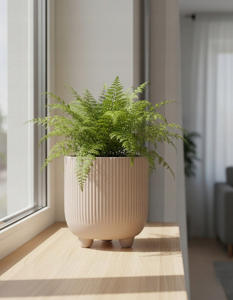 efdd4138286a1317a3176cd86b1630dd