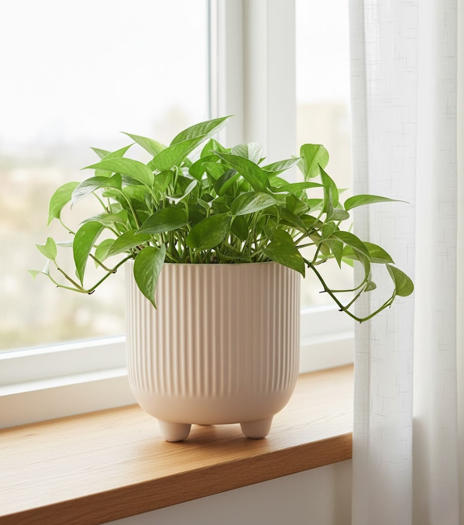 dd5b91a20f30e358351688bd3eadcdd7