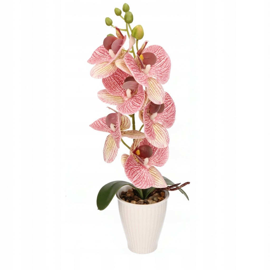 aa4b8a99f33d6d9c8611509eaa47d942