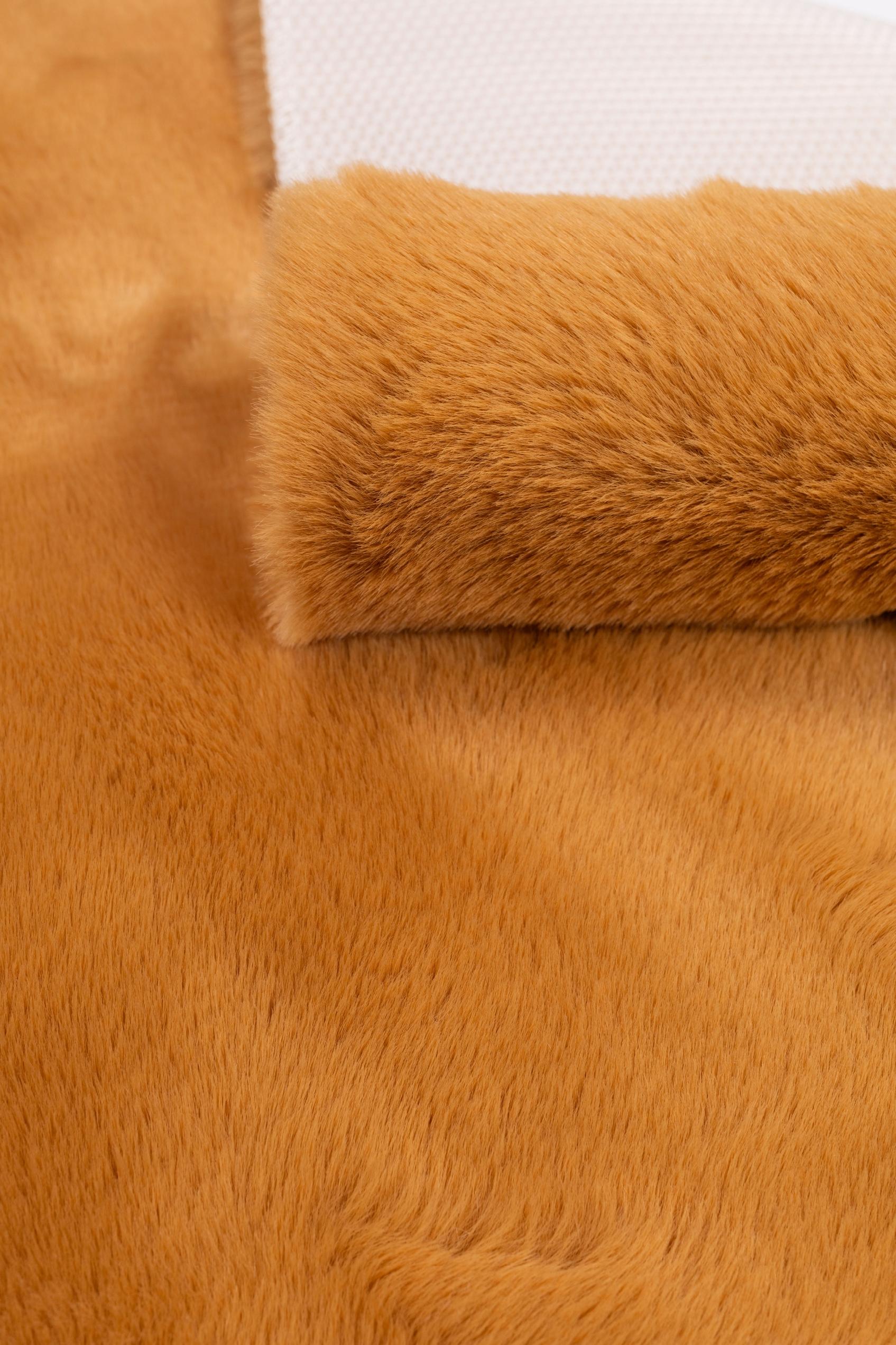 10fec207817ac3c61f1c9a9802f76f3e