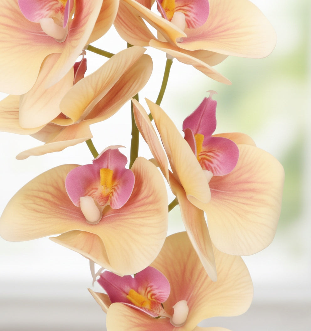 888c2e05a6d96f186382269a9530f75e