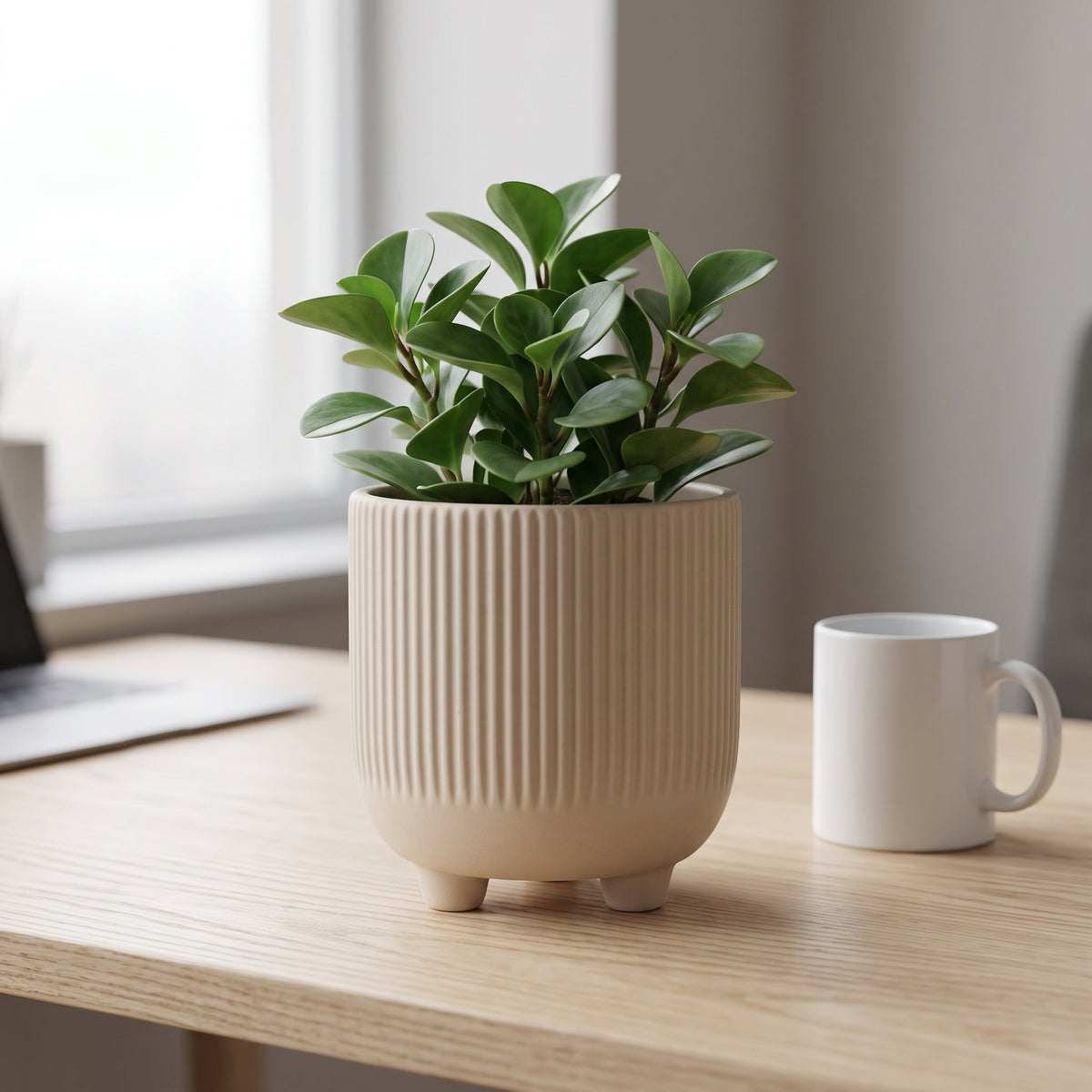 Doniczka Osłonka Kolor Szara 15cm Ceramiczna na Trzech Nóżkach Designerska Donica