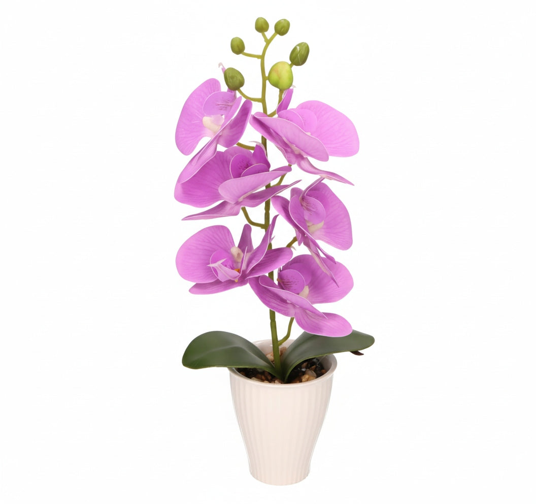 21319f5fdd394b6cdc35a25382290ead