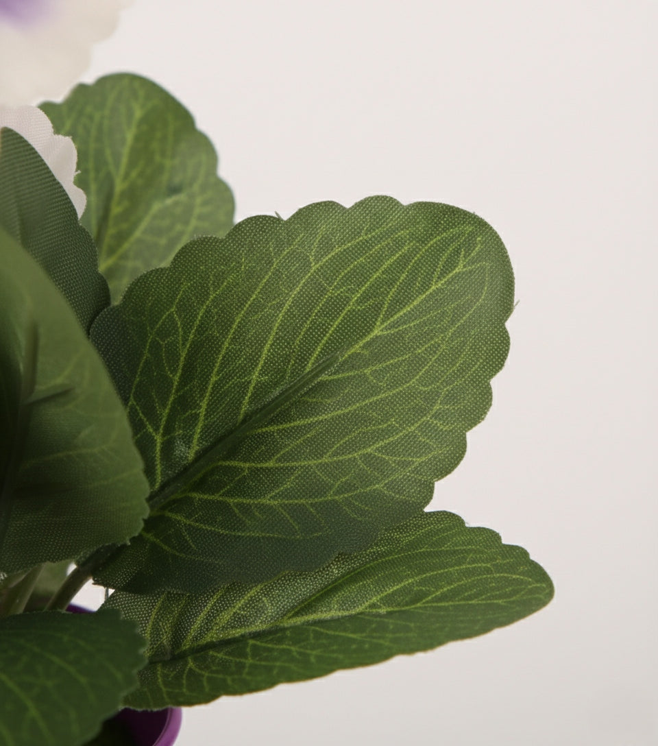 ad2eb9c4f5a187a699e8d4e667546202