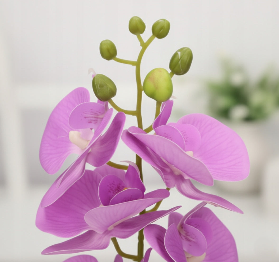 26fdab7676864b1b7aa1f427730c530a