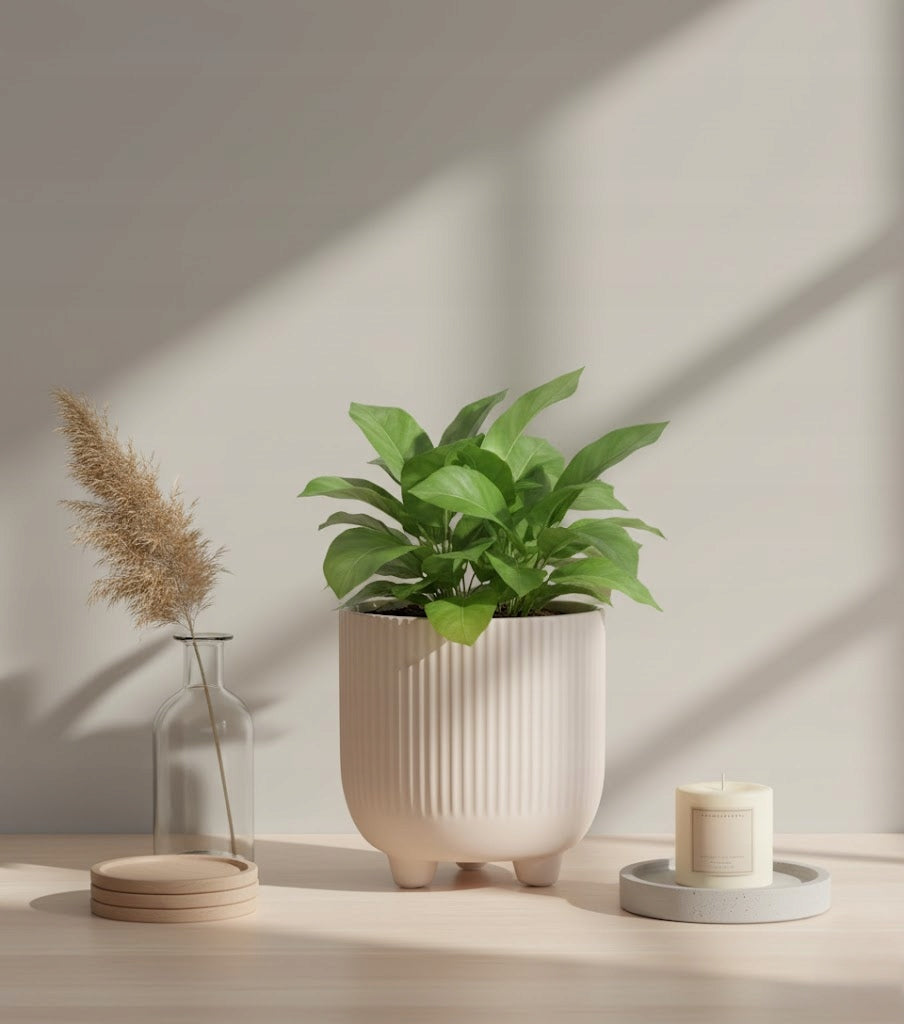 4054c662d58796eda0e7e38ed7c2a9cb