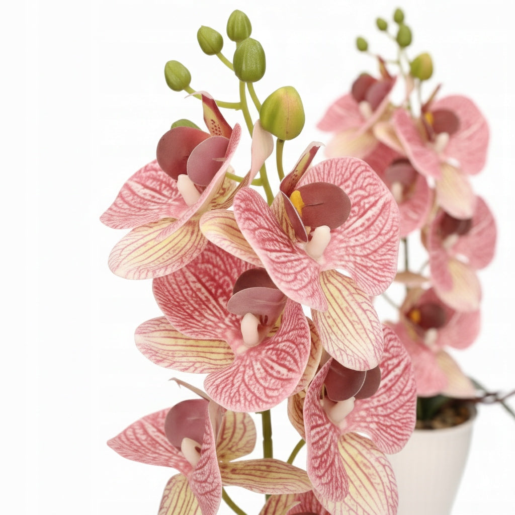 2d31b114f763735749bc05c2ee81dc37