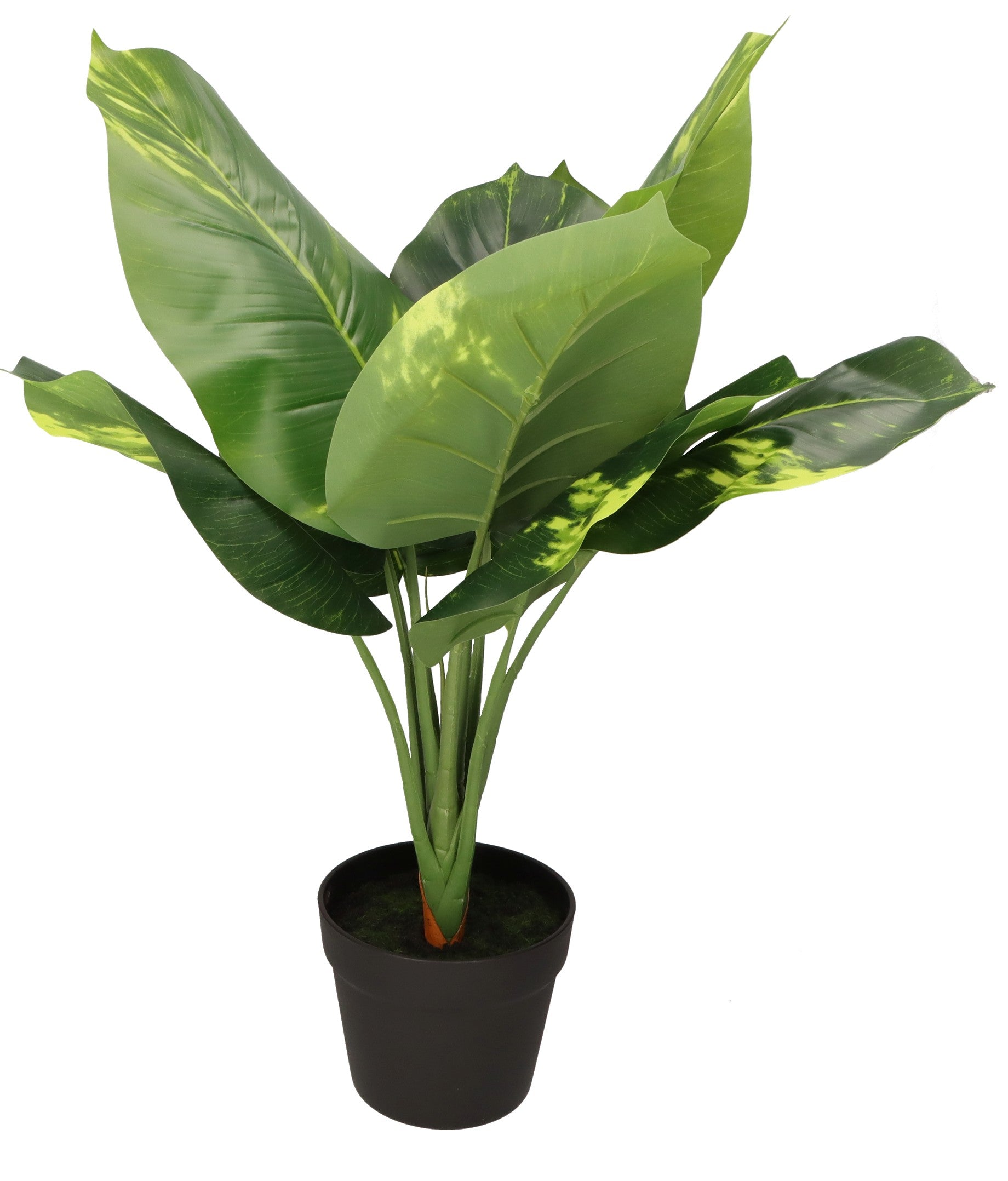 Sztuczna difenbachia w doniczce 23 cm zielona dekoracja na biurko i parapet