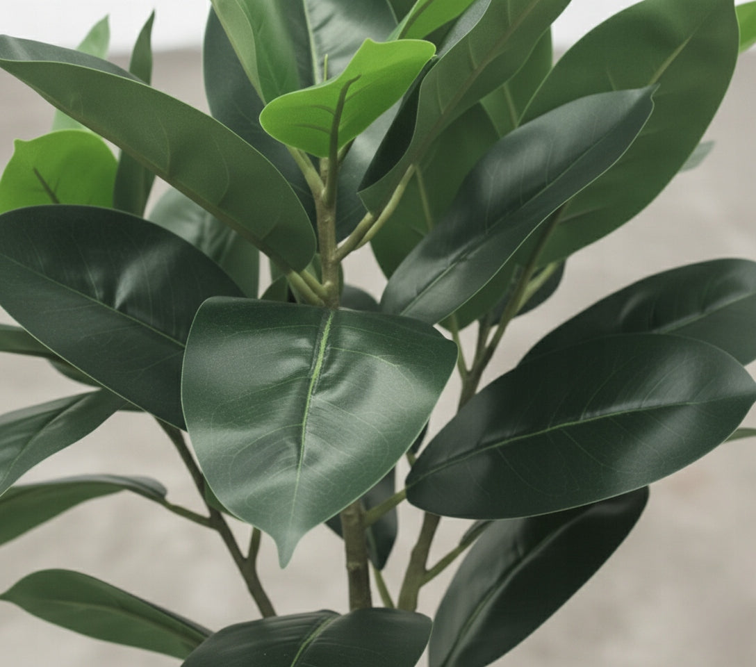 014300912a677409bdce02cc5dc1183d