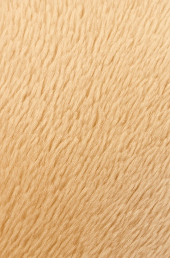 e5a7013e829876c4d14c9a4a63cce9eb