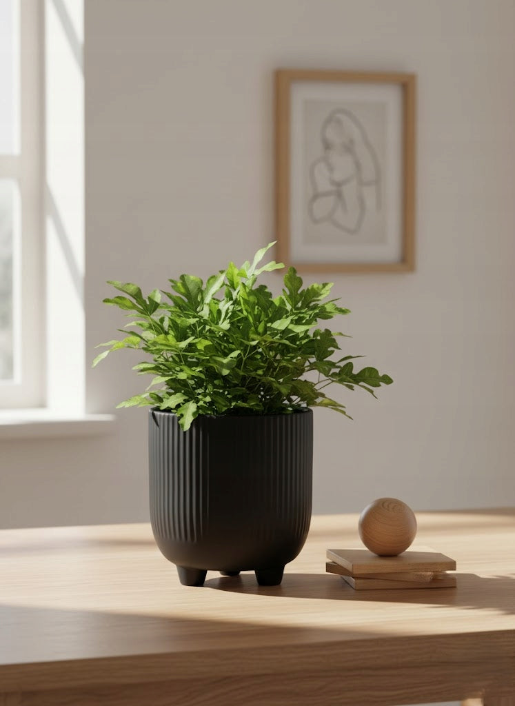 e56f139f36e6331af7d883006c8daa56