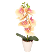 Storczyk Sztuczny Morelowy 37cm Orchidea W Doniczce Mały Kwiat Doniczkowy