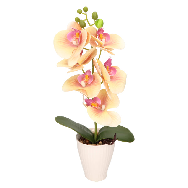 Storczyk sztuczny morelowy 37cm orchidea w doniczce mały kwiat doniczkowy
