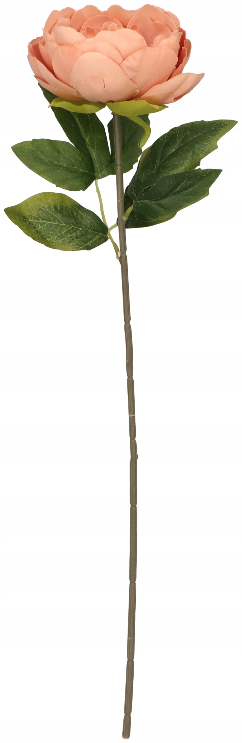 Piwonia 57 cm Sztuczna Gałązka Duży Kwiat Naturalny Efekt Kolory do Wyboru