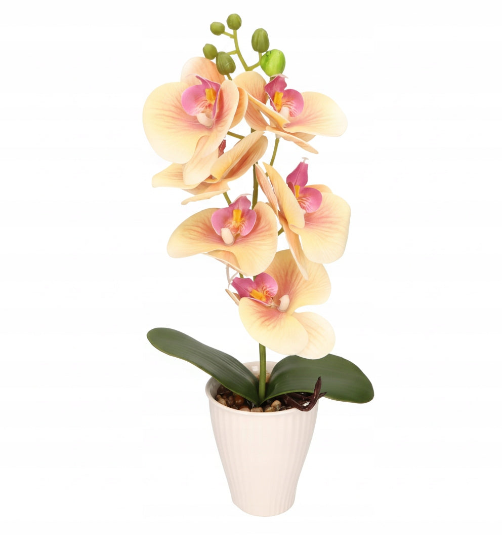 3419027c22313d75f5cd225b7846d977