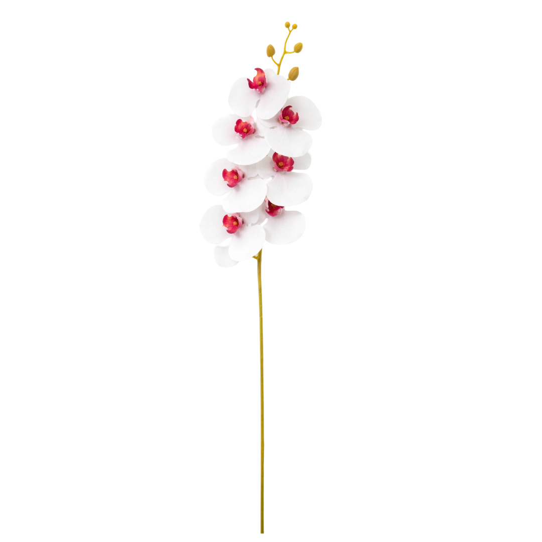 Storczyk Sztuczny Biały Z Czerwonym Środkiem 92cm Gałązka Orchidea Salon