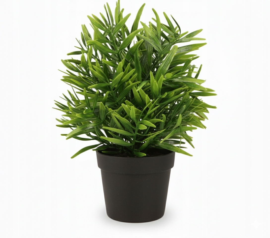 c7f9fe4d9bc48fe0d91f4afd6e73f39e