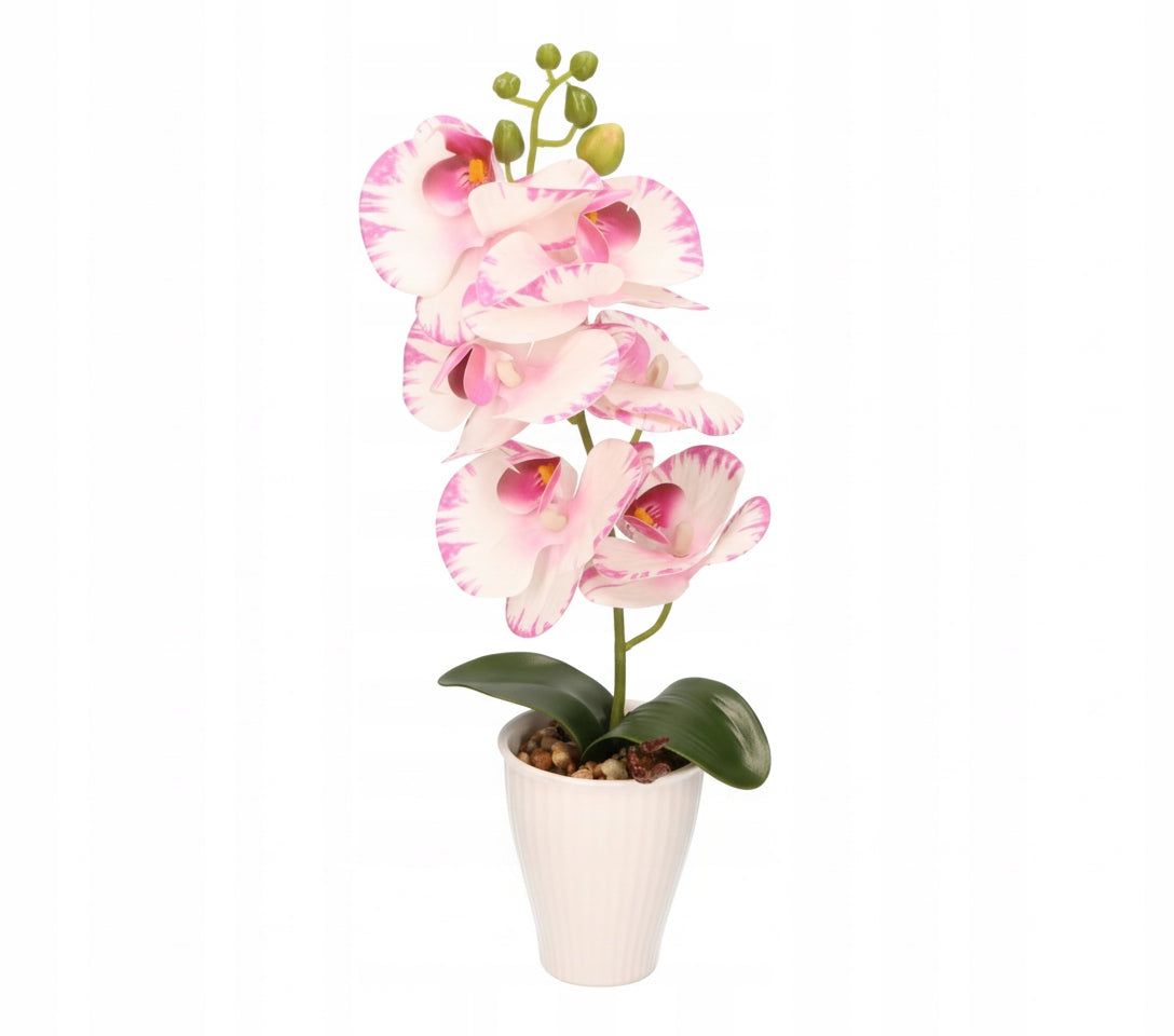 cd04b289578c37775fae1533f529364d