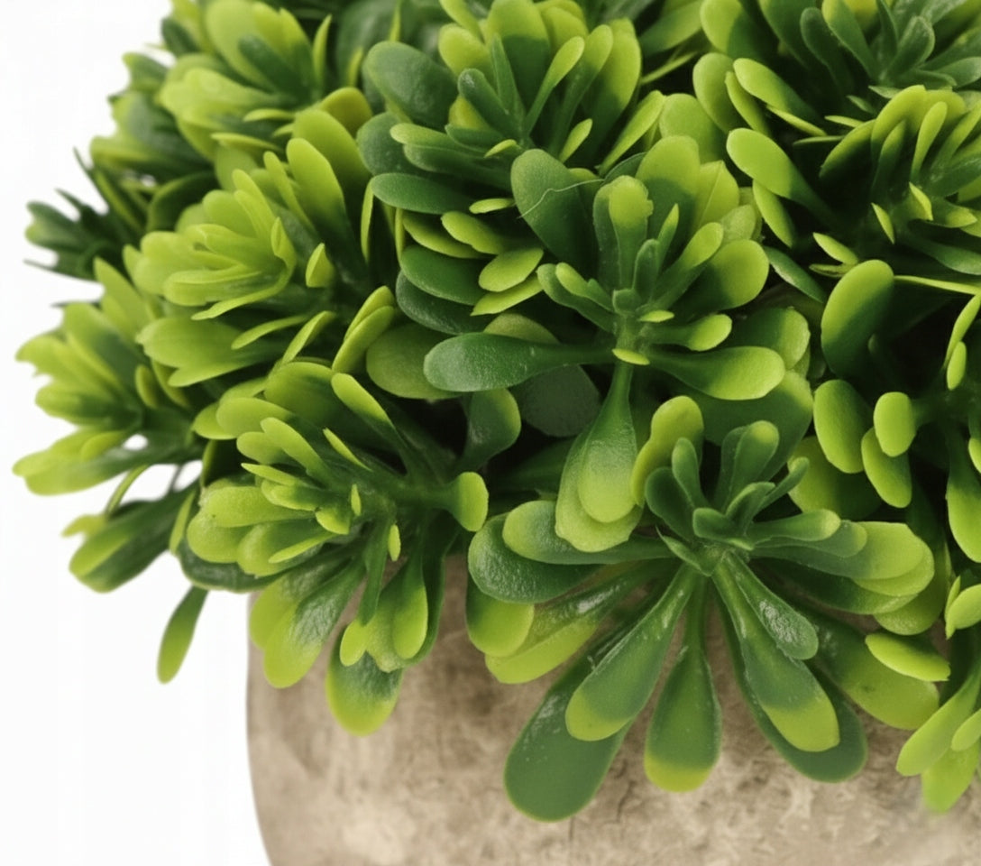 6bec4ebffb8567954448f9f8156b2497