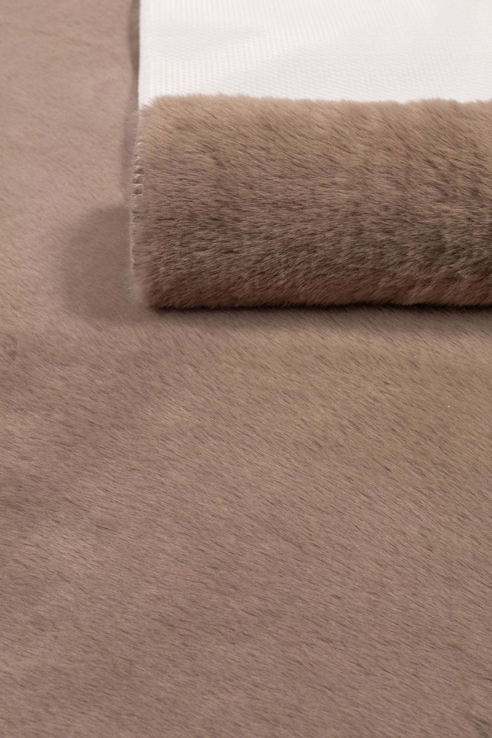 19077e674836415bce2985ea02c976ae