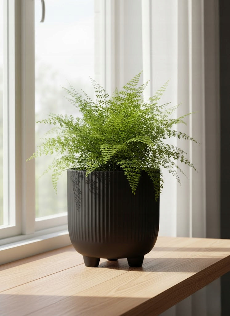 8efdf2d5ba7f18dc8c00854815c99398